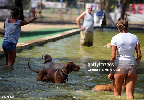 Roman canines beat dog days of summer Dogs and their owners cool off in a poolat a beach for dogs on the Tiber river in Rome on August 24, 2009 ....