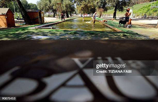 Roman canines beat dog days of summer Dogs and their owners relax at a beach for dogs on the Tiber river in Rome on August 24, 2009 . While dogs are...