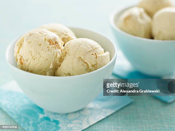 graham cracker ice cream - ice cream bowl stockfoto's en -beelden