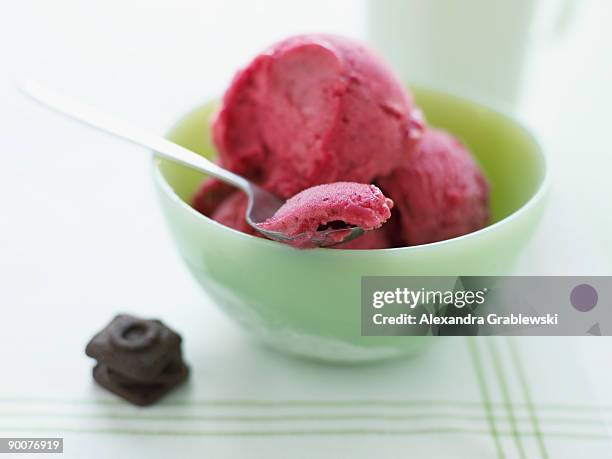 cranberry lime sorbet with cookies - シャーベット ストックフォトと画像