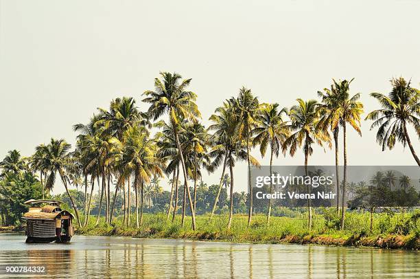 alleppey backwaters/alappuzha/houseboat-vembanad lake-kerala - vembanad lake stockfoto's en -beelden