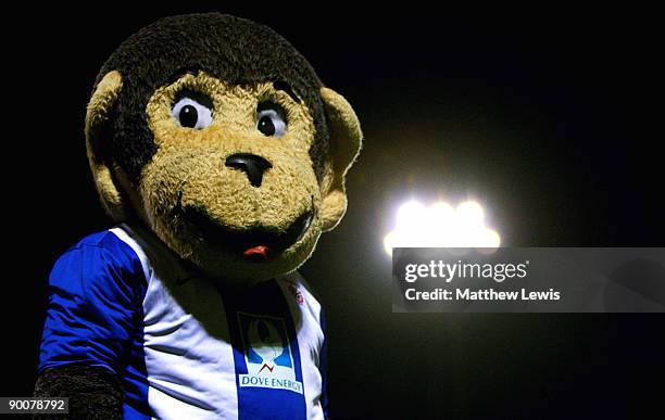 Angus the mascot of Hartlepool United looks on during the Carling Cup Second Round match between Hartlepool United and Burnley at Victoria Park on...