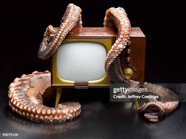 octopus attacking television set - tentacle stockfoto's en -beelden