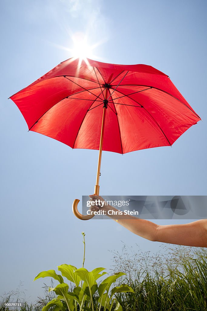 Woman holding umbrella