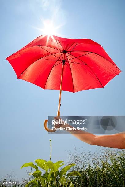woman holding umbrella - holding umbrella stock pictures, royalty-free photos & images