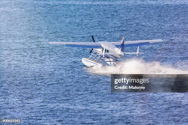 seaplane landing on the water - vancouver, canada - amphibious vehicle stock pictures, royalty-free photos & images