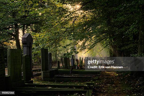 graveyard - place concerning death - fotografias e filmes do acervo