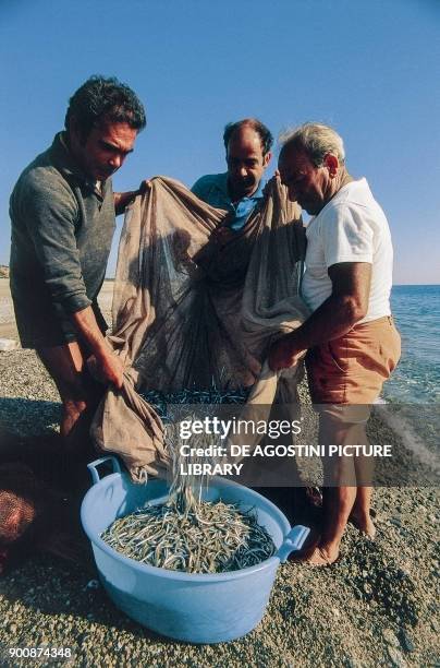 Fishermen collecting fish caught by the sciabica net on the beach of Riace, Calabria, Italy.