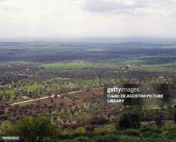 Agricultural landscape near San Giovanni Rotondo, Apulia, Italy.