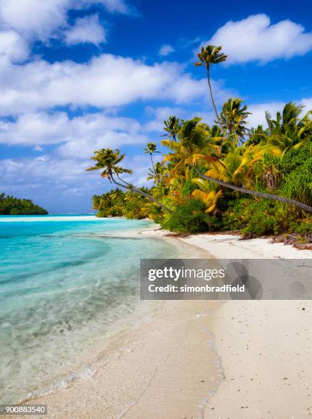 en fot ö i cook öns aitutaki lagoon - aitutaki bildbanksfoton och bilder