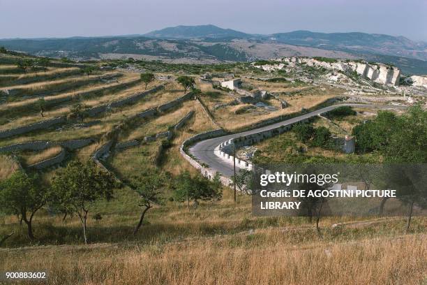 Terraced fields near Monte Sant'Angelo, Gargano National Park, Apulia, Italy.