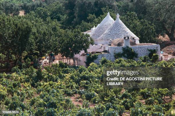 Vineyard and trullo in Cisternino, Apulia, Italy.