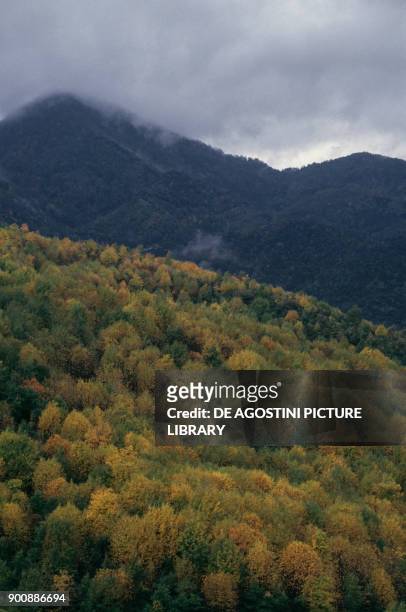 View of the Catena Costiera covered by forest in autumn, Calabria, Italy.