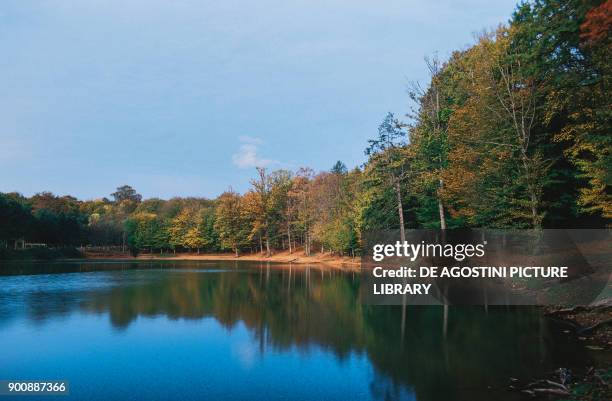 Pond in the Umbra Forest , Umbra Forest Nature Reserve, Gargano National Park, Apulia, Italy.