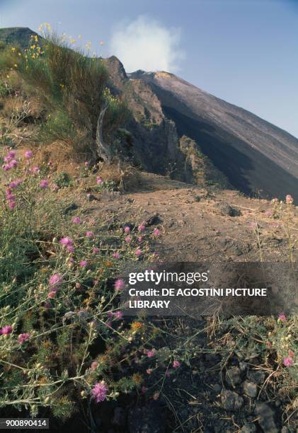 Sciara del Fuoco or Filo del Fuoco , slope leading to the summit crater of Stromboli, Aeolian or Lipari Islands , Sicily, Italy.