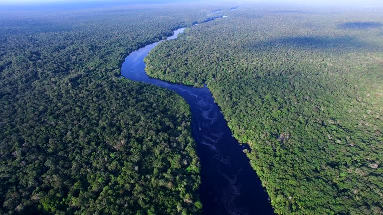 Ei Rive Amazon river in Brazil 동영상 (900905236) - 게티이미지뱅크