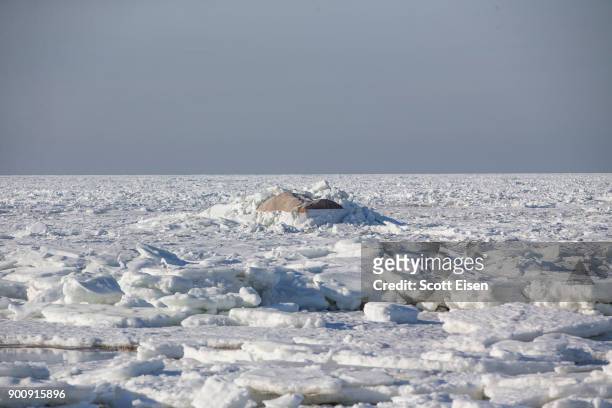 Sea ice covers Cape Cod Bay as viewed from Rock Harbor Beach on January 3, 2018 in Orleans, Massachusetts, A winter storm is hitting the east coast...