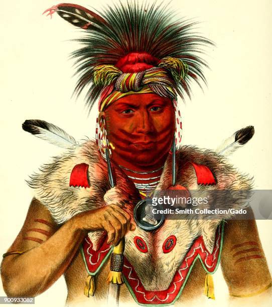 Head-shot, color illustration of Fox Chief Nesouaqouit, aka "Bear in the Forks of a Tree, " wearing red face paint, a red feathered headdress, a...