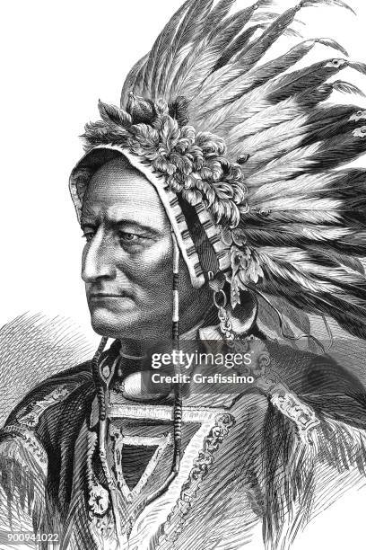 porträt von native amerikanische stammes-chef sitting bull 1875 - plume tribal stock-grafiken, -clipart, -cartoons und -symbole