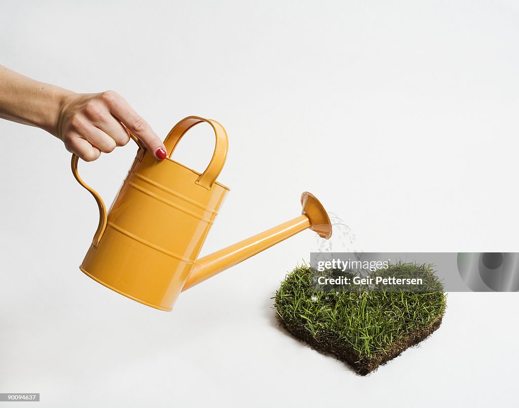 Woman's hand, watering heart of grass