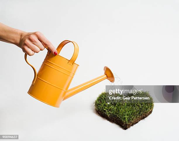 woman's hand, watering heart of grass - enlarged heart stock pictures, royalty-free photos & images