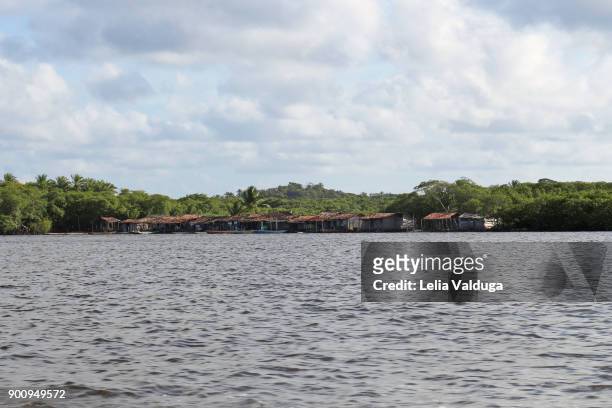 we saw on the coast of rio do inferno (river of hell),a small and very simple village of fishermen, between boipeba and tinharé - ba- brazil - river ba stock pictures, royalty-free photos & images