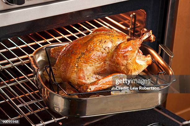 Turkey In Oven High-Res Stock Photo
