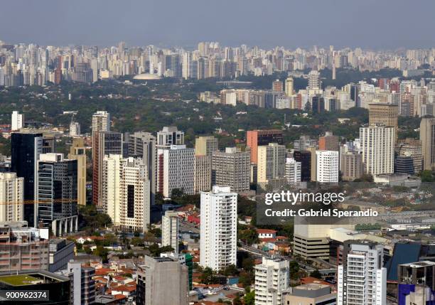 são paulo - top view of ibirapuera park in sao paulo brazil stock pictures, royalty-free photos & images