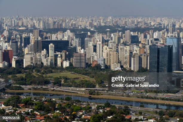 são paulo - top view of ibirapuera park in sao paulo brazil stock pictures, royalty-free photos & images