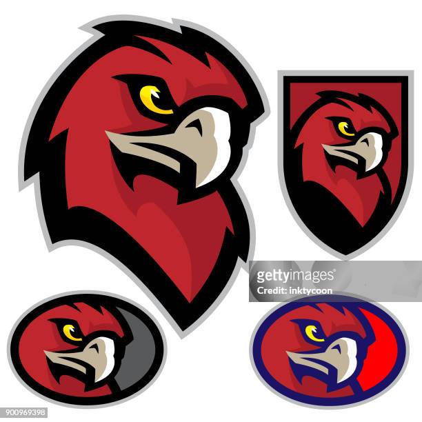 hawk head mascot - mascot stock illustrations