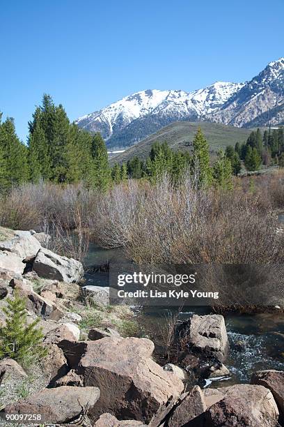 sawtooth mountains - sawtooth national recreation area stock pictures, royalty-free photos & images