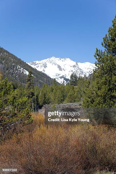 snow topped mountain in spring - sawtooth national recreation area stock pictures, royalty-free photos & images