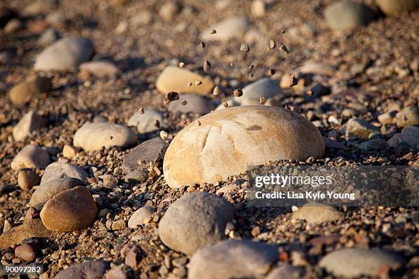 Light Bouncing Off Rocks 701 Bouncing Rock Stock Photos, High-Res Pictures, and Images - Getty ...