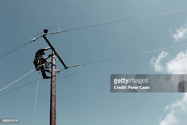 man up telephone pole - telefoondraad stockfoto's en -beelden