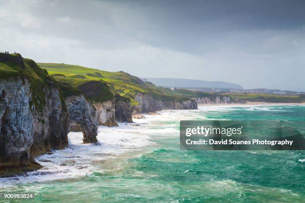 a rugged coastal landscape along the causeway coast in antrim, northern ireland - viaducto fotografías e imágenes de stock