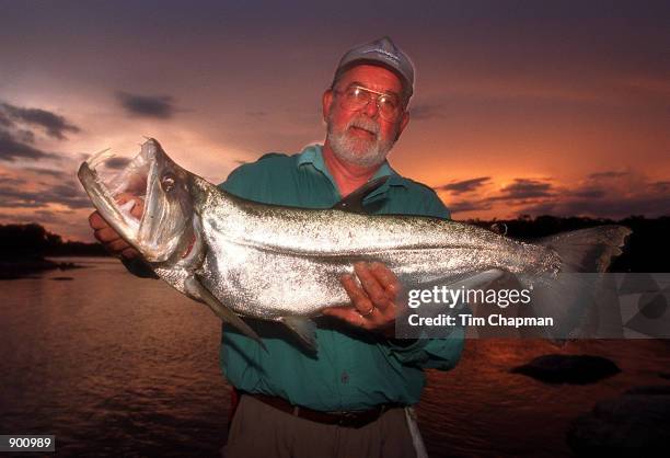 American fisherman Bill Goss holds a 17 Lb payara from the Orinoco River in the Amazon basin December 12, 1998. The payara known as "the pit-bull of...