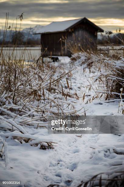 boat house at lake chiemsee - schilf stock pictures, royalty-free photos & images