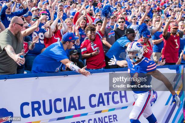 Joe Webb of the Buffalo Bills high fives fans during the game against the Tampa Bay Buccaneers at New Era Field on October 22, 2017 in Orchard Park,...