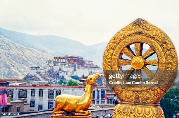 golden dharma wheel and deer sculptures at the jokhang temple in lhasa, tibet - dharma wheel stockfoto's en -beelden