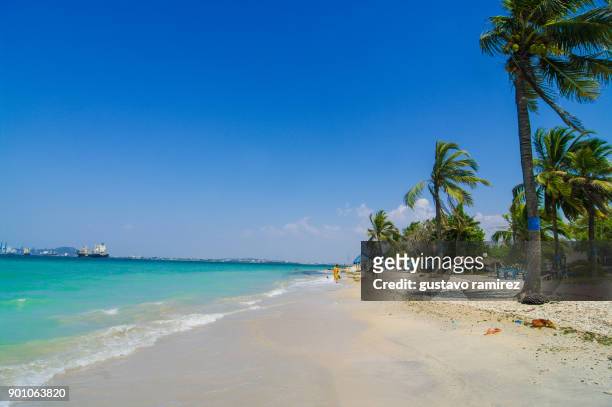 beach of caribbean island of tierra bomba - cartagena departamento de bolívar stock-fotos und bilder
