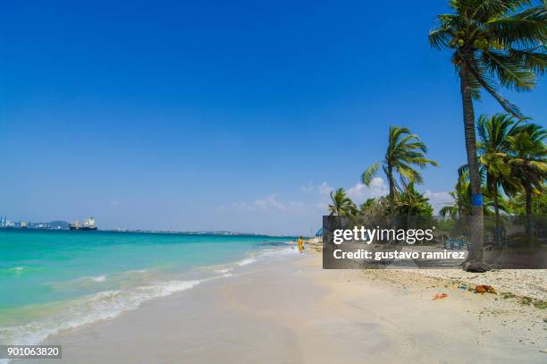 beach of caribbean island of tierra bomba - rosario stock pictures, royalty-free photos & images