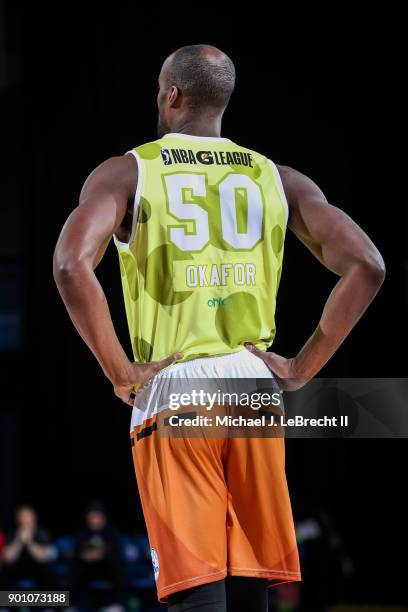 Emeka Okafor of the Delaware 87ers against the Erie Bayhawks during an NBA G-League game on January 3, 2018 at Bob Carpenter Center, Newark, DE. NOTE...