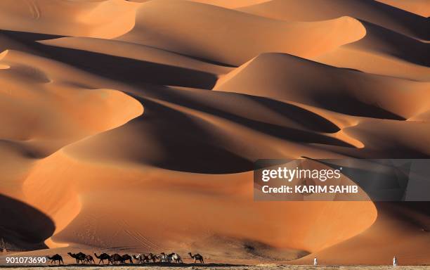 Emirati men walk with camels across the Liwa desert, some 250 kilometres west of the Gulf emirate of Abu Dhabi, during the Liwa 2018 Moreeb Dune...