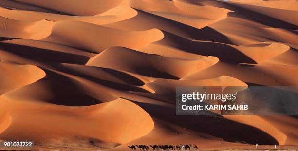 Emirati men walk with camels across the Liwa desert, some 250 kilometres west of the Gulf emirate of Abu Dhabi, during the Liwa 2018 Moreeb Dune...