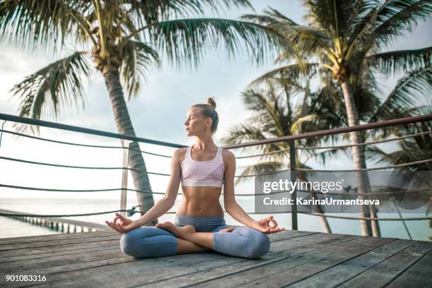 yoga en el muelle - karina urmantseva fotografías e imágenes de stock