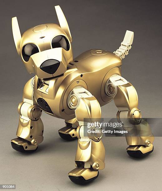 Robocane 36 Robo Canine Photos & High Res Pictures - Getty Images