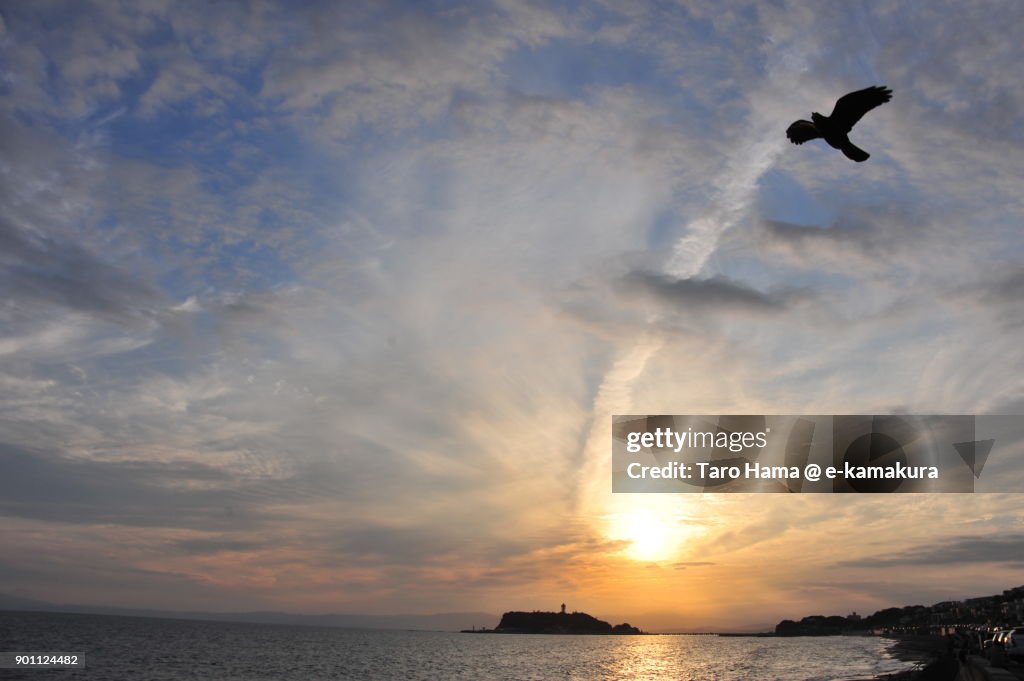 A kite flying in the sunset sky and beach in Kamakura city in Kanagawa prefecture in Japan