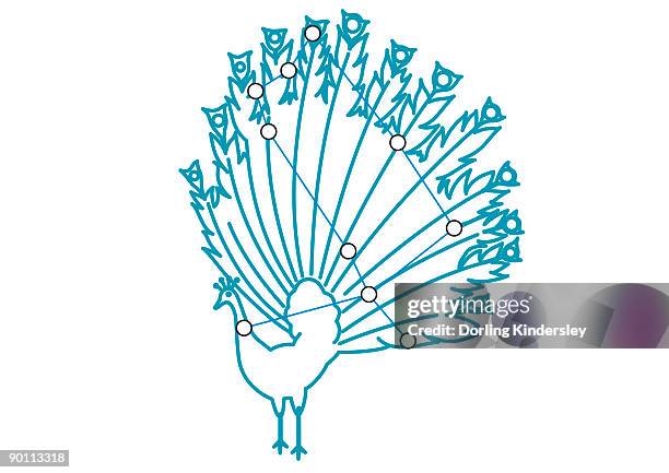digital illustration of pavo constellation - peacock feather on white stock illustrations