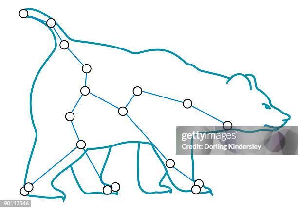 digital illustration of ursa major (great bear) constellation  - constellation stock-grafiken, -clipart, -cartoons und -symbole