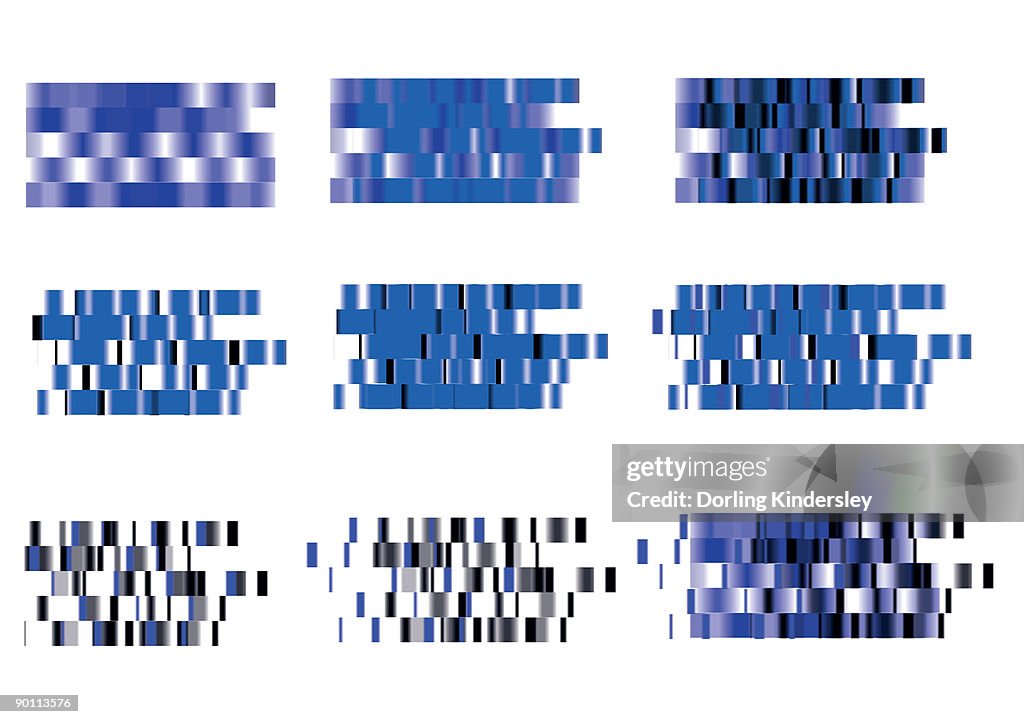Dna Vector Map Digital Illustration Dna Map High-Res Vector Graphic - Getty Images